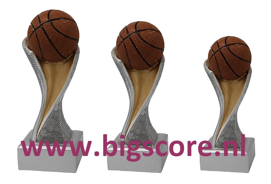 Basketbalbeeld FG4131 t/m FG4133